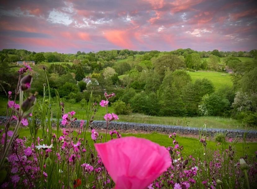 The Old Rectory - Valley View Room In Private Home Stockton-on-Teme Exteriör bild